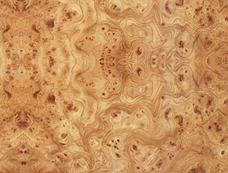 Шпон карельской березы