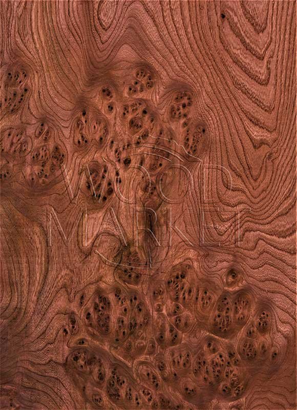 Карельская береза шпон Вудсток