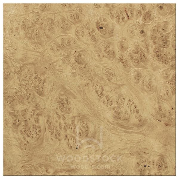 Шпон Файн лайн дуб корень