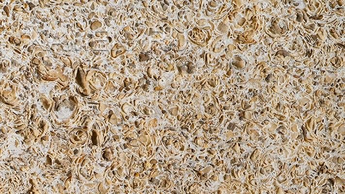 Фактура ракушечника