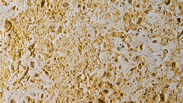 Известняк ракушечник