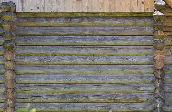 Стена из бревен