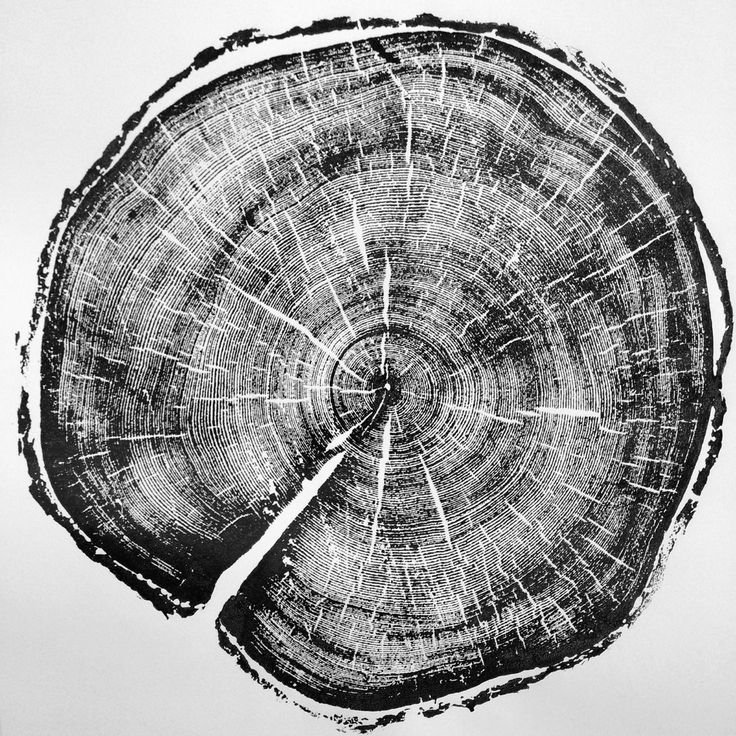 Отпечаток среза дерева