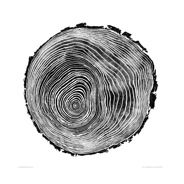 Срез дерева