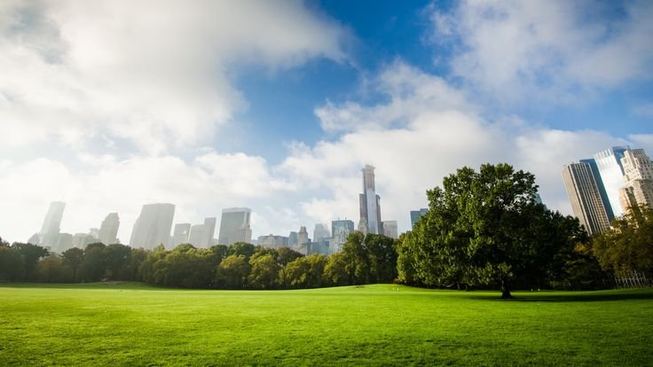 Центральный парк Нью-Йорк