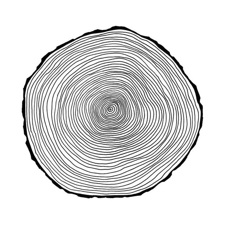 Годовые кольца дерева