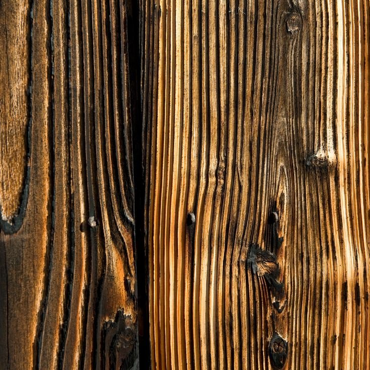 Фактура дерева