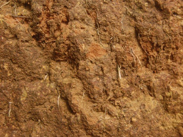 Очковая текстура