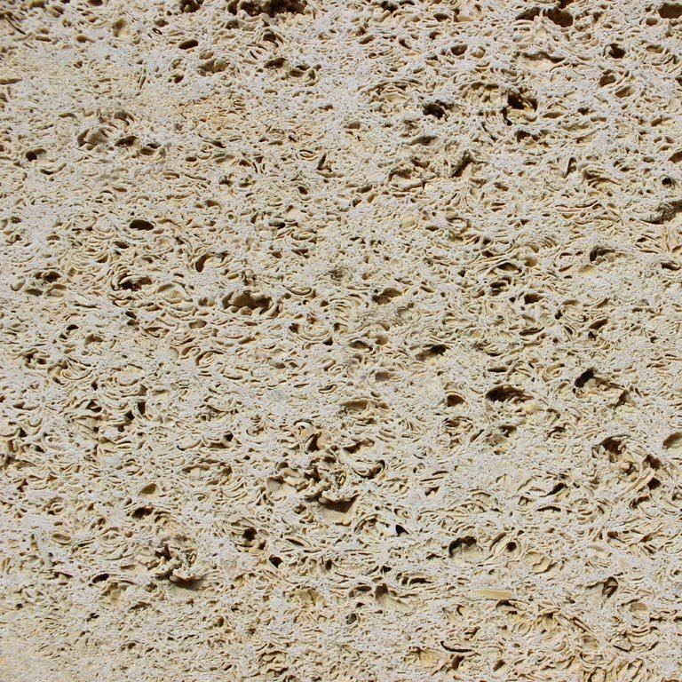 Ракушечник Горная порода