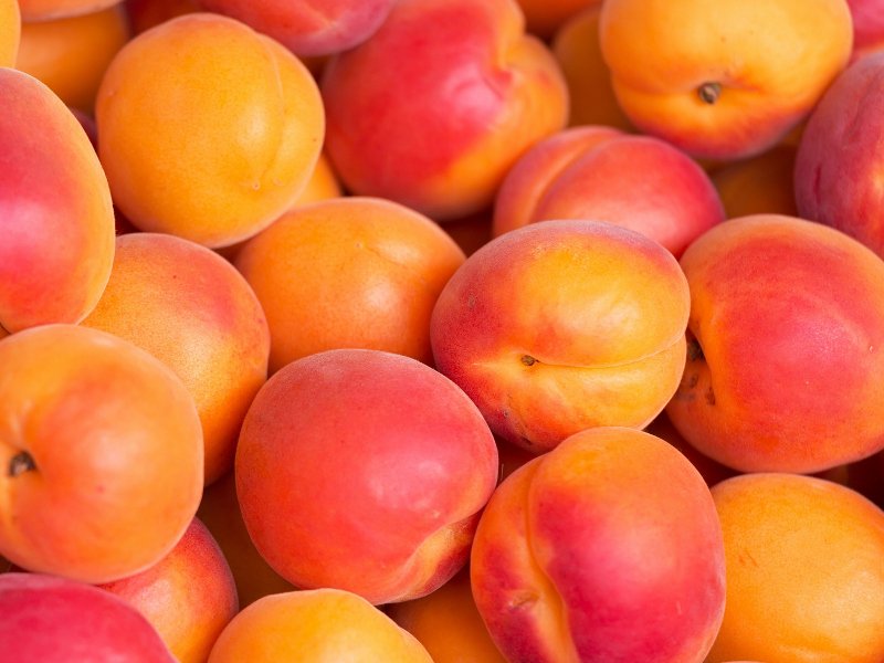 Нектарин и абрикос