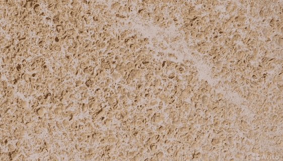 Известняк ракушечник