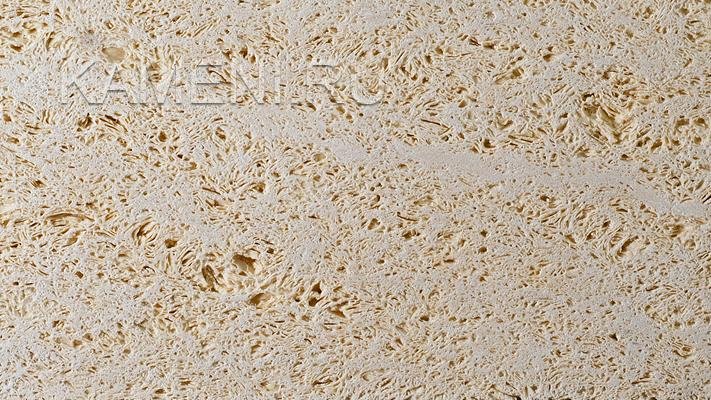 Ракушечник Дагестанский фактура камня