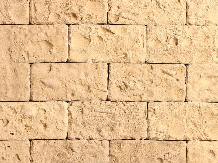 Крымский песчаник ракушечник