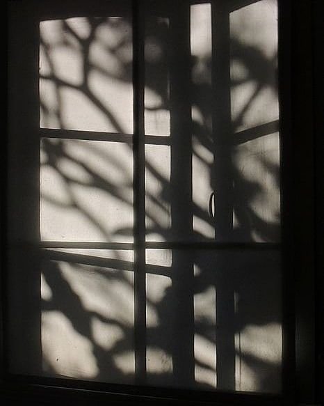 Тень окна на стене