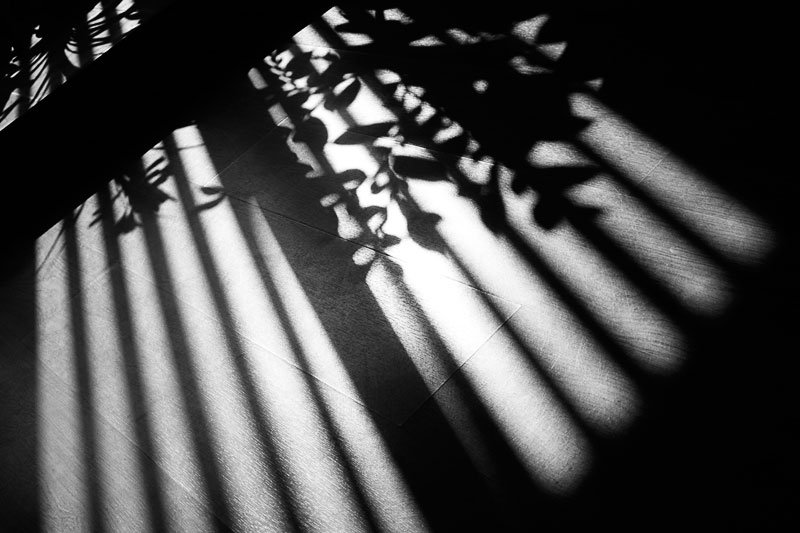 Тень от жалюзи