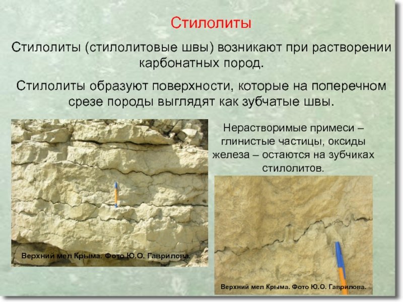 Стилолитовые швы