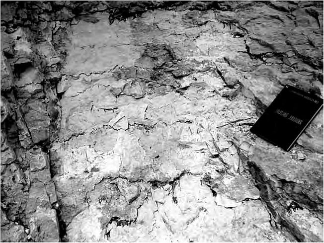 Сутуро стилолитовая текстура