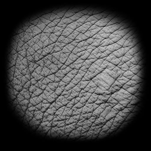 Кисти кожи для Zbrush