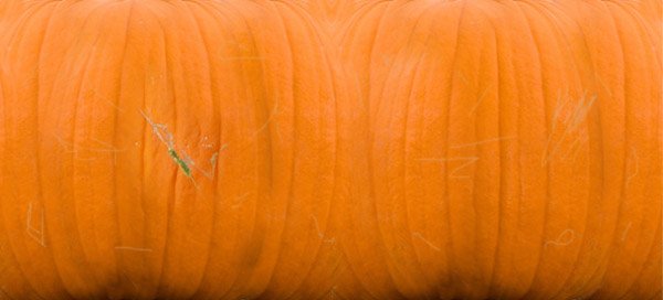 Текстура морковки