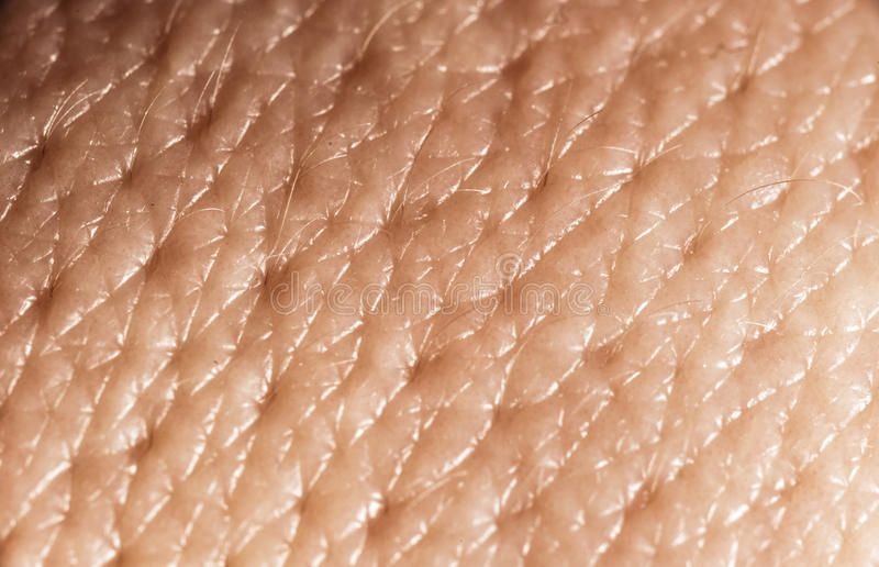Текстура человеческой кожи