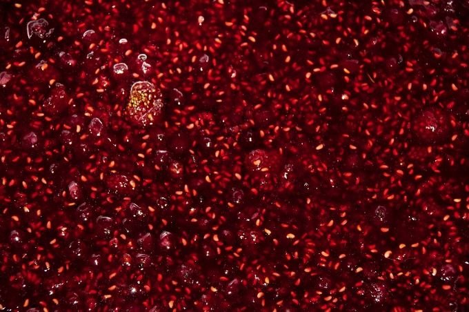 Бордовые ягоды