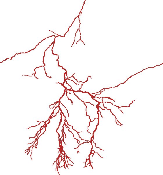 Вены без фона