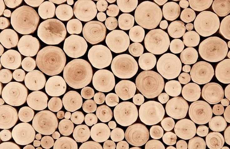 Спил бревна