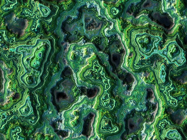 Мох текстура