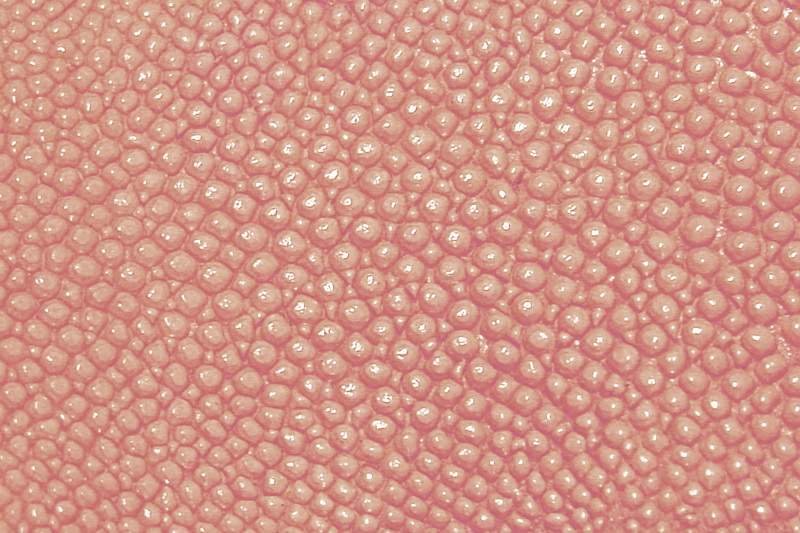 Ткань с пупырышками