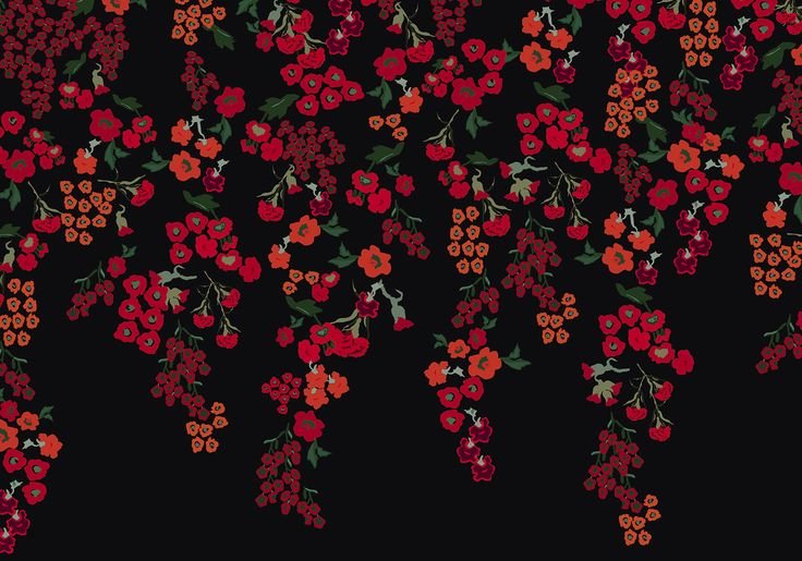 Принт Дольче Габбана