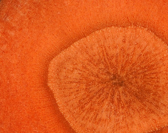 Фактура моркови