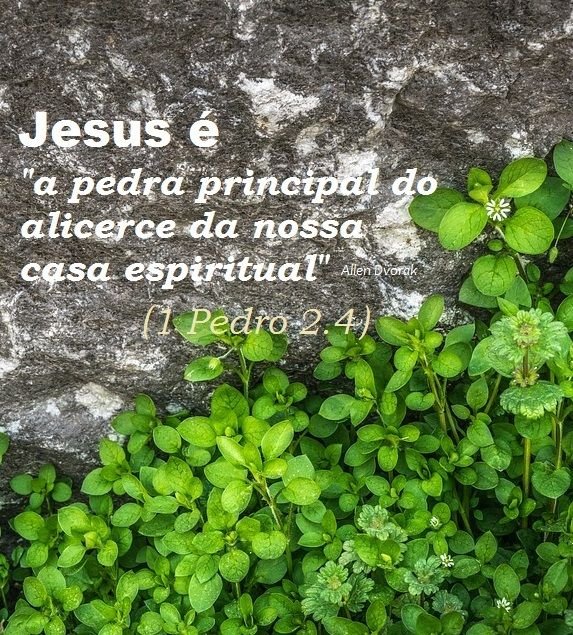 Бетон и зелень