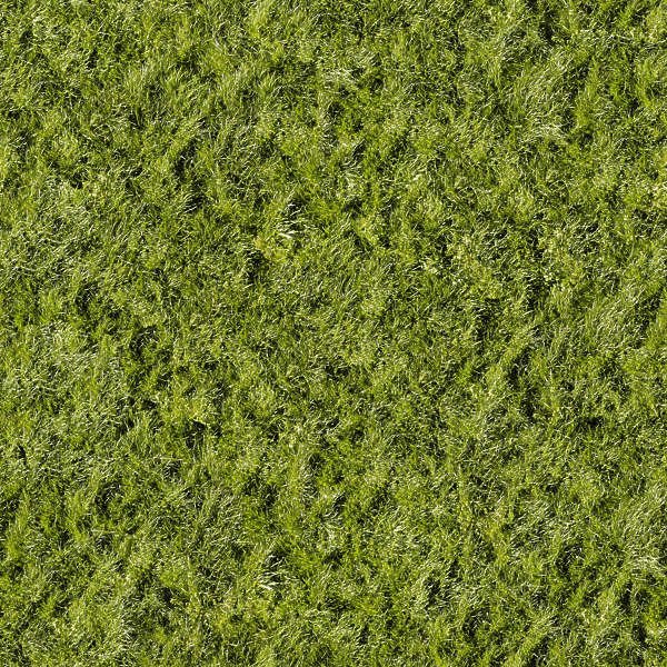 Трава для скетчап