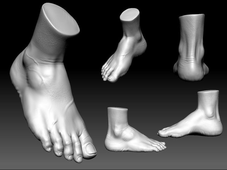 Ноги Zbrush