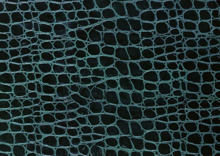 Крокодиловая кожа Альфа