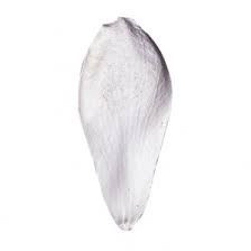 Вайнер "лепесток ромашки"