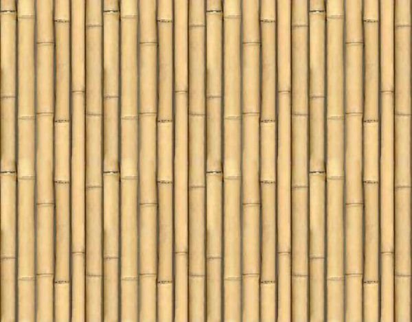 Бамбук фактура