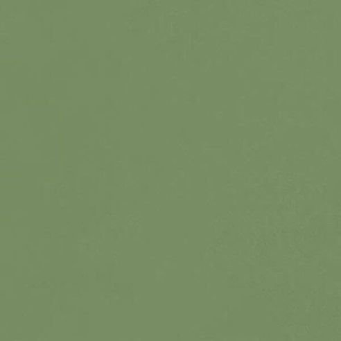 фисташковый цвет