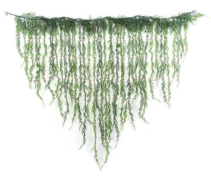 Висячий мох