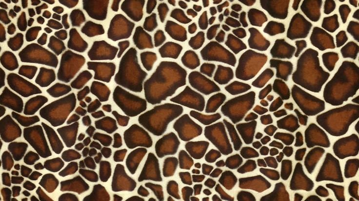 Пятна жирафа