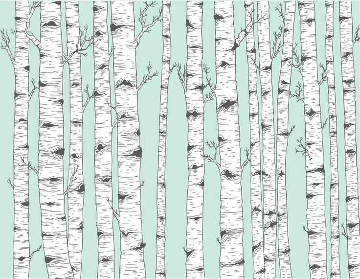 Стилизованные березы