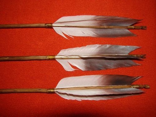 Стрела с перьями