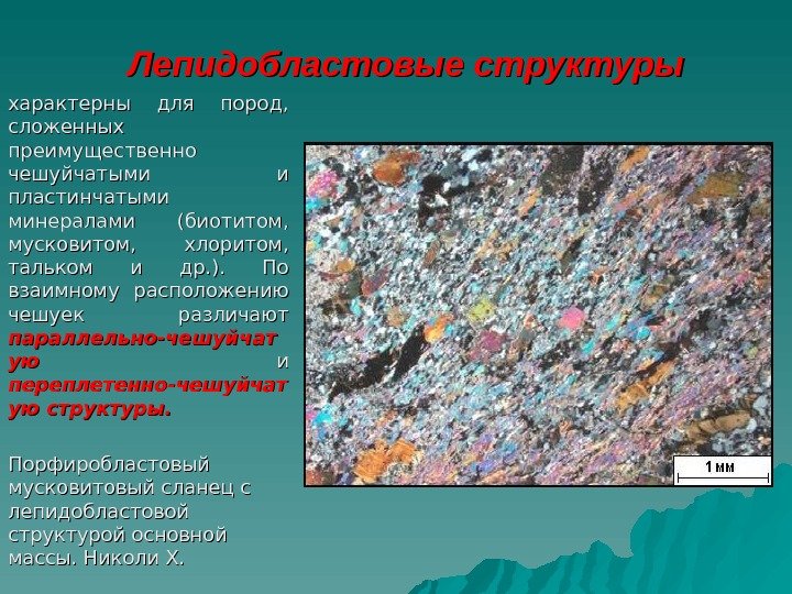 Лепидобластовая структура метаморфических пород