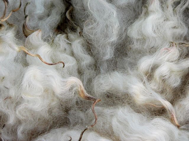 Хлопок волокно