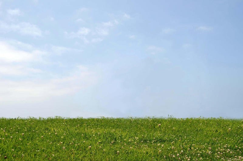 В чистом поле...