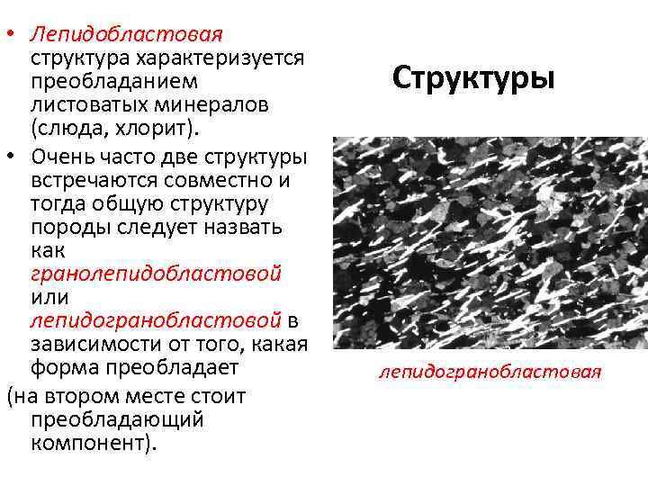 Лепидобластовая структура пород