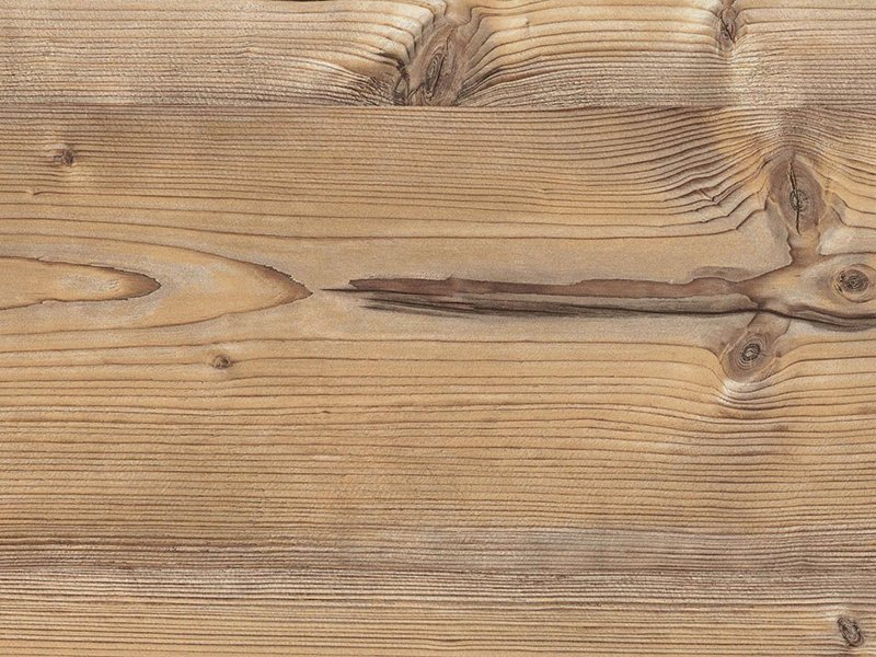 H1487 st22 пихта Брамберг