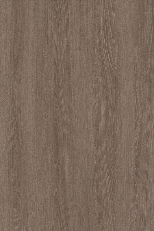 Дуб Орлеанский