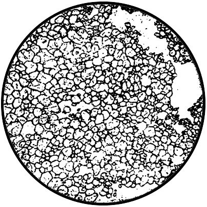 Гранобластовая структура метаморфических пород