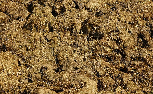 Грязь жидкая текстура